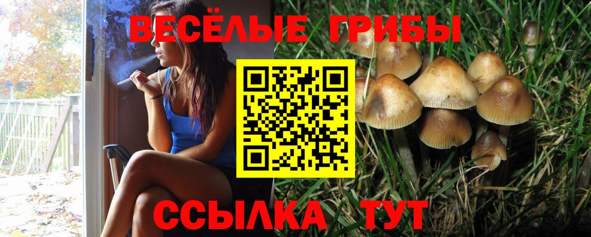 Павловский Посад  Псилоцибиновые грибы мицелий  Вход с VPN 